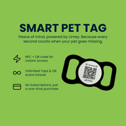 Limey Pet Tag